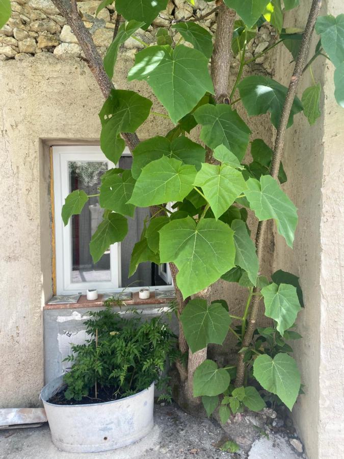 Villa Lou Mut Lectoure Exterior foto